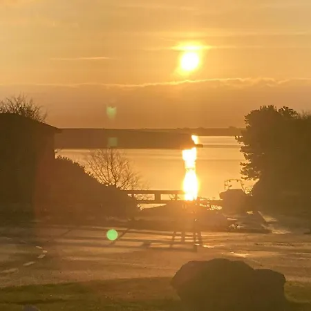 Kingdom - Parrot * Millom