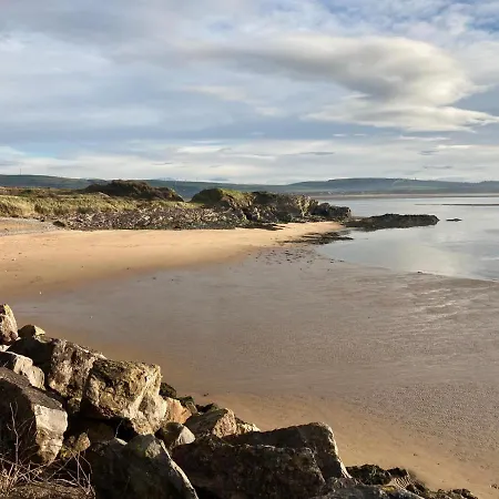 Kingdom - Parrot ミロム