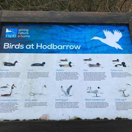 ホリデーパーク Kingdom - Parrot *