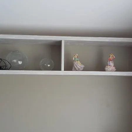 Kingdom - Parrot ミロム