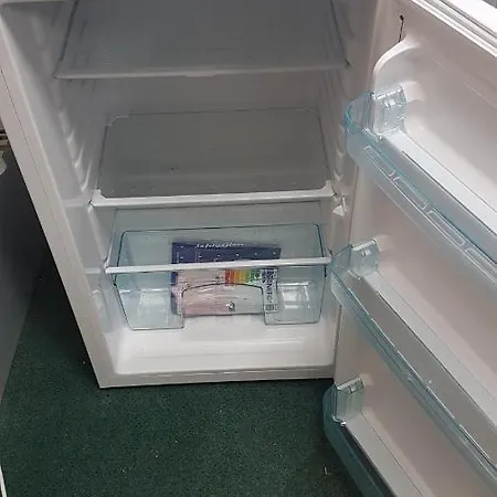 Kingdom - Parrot * ミロム