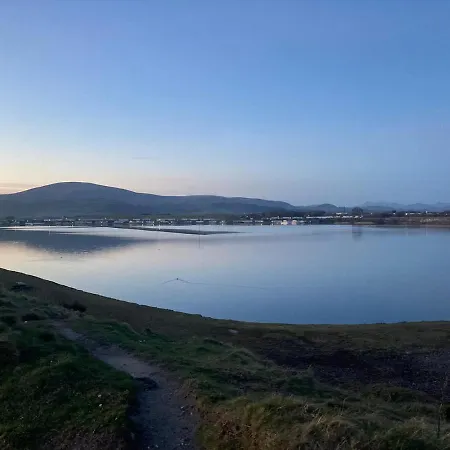 Kingdom - Parrot ミロム