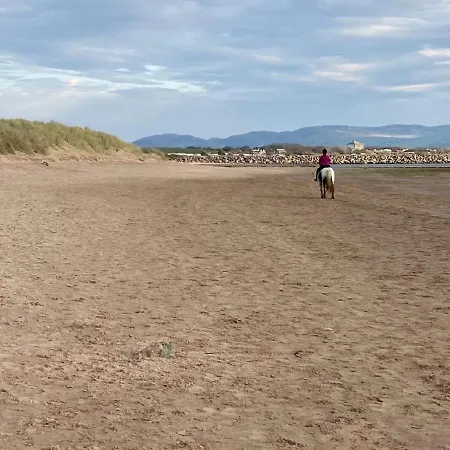 Kingdom - Parrot ホリデーパーク ミロム