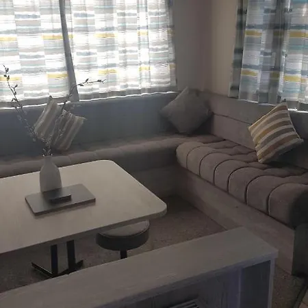 Kingdom - Parrot ミロム