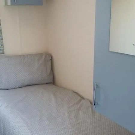 Kingdom - Parrot ミロム