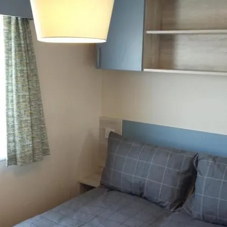 Kingdom - Parrot * ミロム