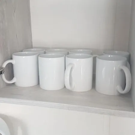 Kingdom - Parrot ミロム