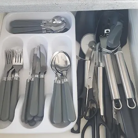 Kingdom - Parrot * Millom